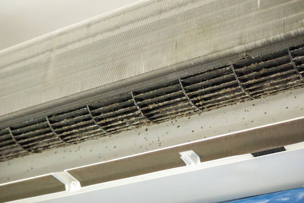 Best Air Duct Cleaning Near Me  in Piney Mountain, VA